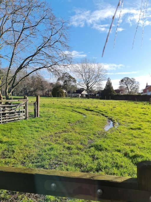 The Little Cottage - Peaceful, Dog Friendly Cottage In 5 Acres Glastonbury Exterior foto